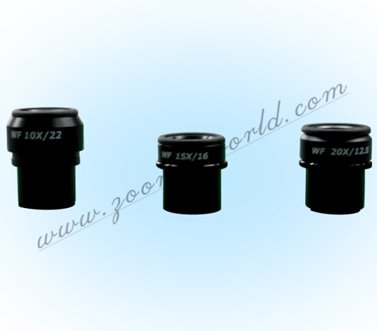 Eyepiece