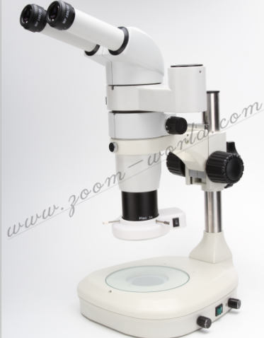 ZOOM1020